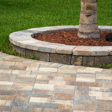 The Front Yard Redesign
