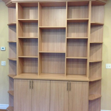 Ithaca NY Living Room Storage