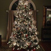 Christmas Trees Decorated