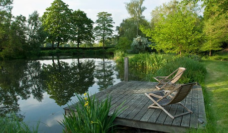 How to Introduce a Water Feature to Big and Small Gardens