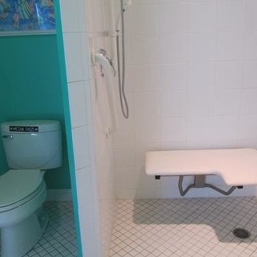Transitional Accessible HomeDesign