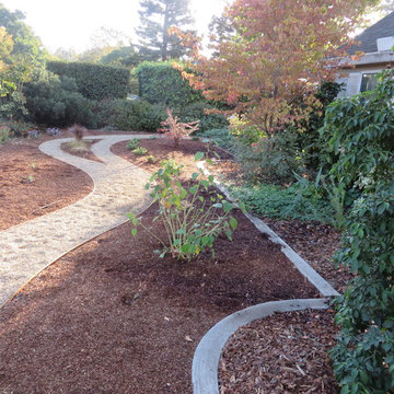 Xeriscape
