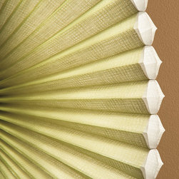 Hunter Douglas Duettes - Cellular Shades