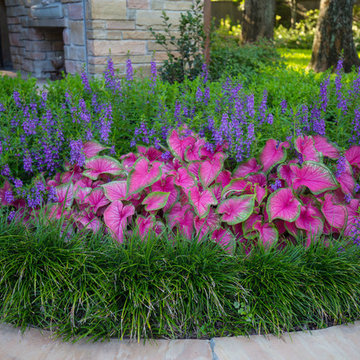 Landscape Irrigation & Drainage Plus Paving & Stonework