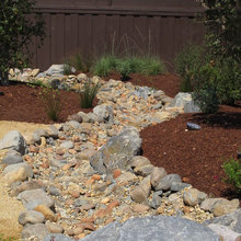 dry river bed