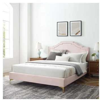 Mod 6850 Pnk Modway Furniture Adelaide Adelaide Performance Velvet Twin Platform