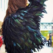 Francesca Saracutti's photo