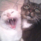 ina martinez's photo