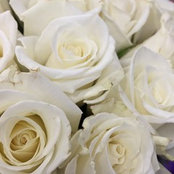 Jill Thaxton's photo