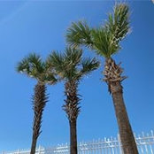 Ginger Gehrand's photo