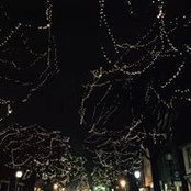 Randi Silverberg's photo