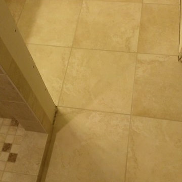MASTER BATHROOM - Roman Tub to Shower Conversion