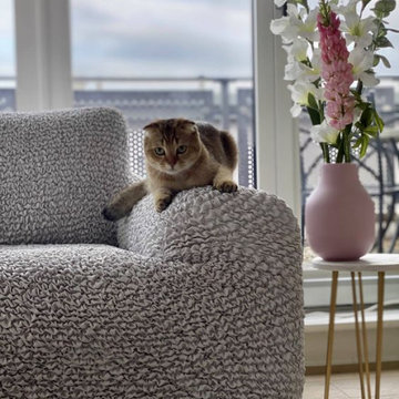 Mamma Mia Couch Covers | High Stretch Pet Protectors