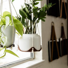 Plant Stands/Hangers