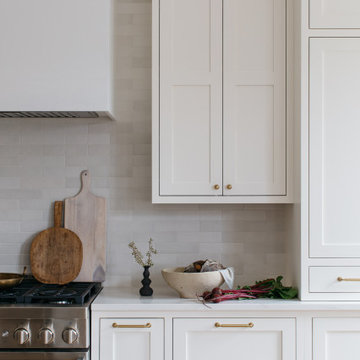 Chicago Renovation