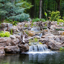 Pond Overhaul