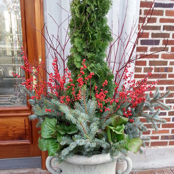 Winter Container Gardens