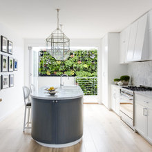 Living Wall/ Plants