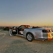 Rory Singleton's photo