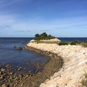 Summer Capecod's photo