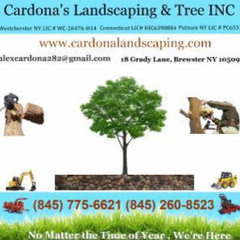 CARDONA LANDSCAPING & TREE INC