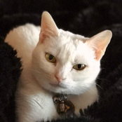Claire Garner's photo