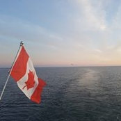 Natalie Taleb's photo