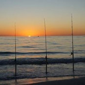 Bruce Petz's photo