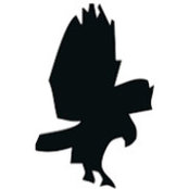 Yosef Adelman's photo