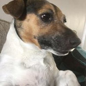 Jayne Tunstall's photo