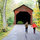Lizzy McErlean
