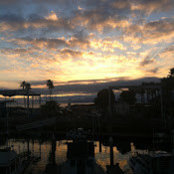 Jason Schalls foto