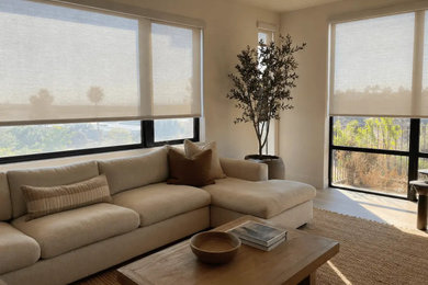 Living room - modern living room idea in Los Angeles
