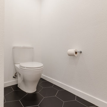 Interior remodeling- Dog -Patch apartment #2