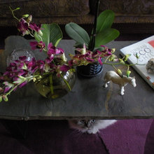 living room favorites