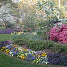 garden inspiration