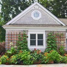 Landscape Ideas