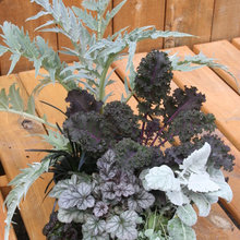 Garden ideas