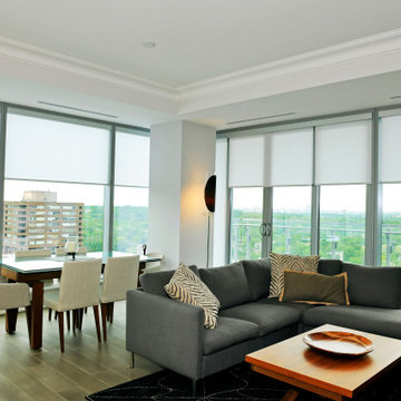 Roller Shades