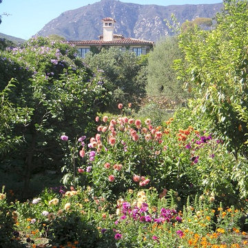 Mediterranean Country House