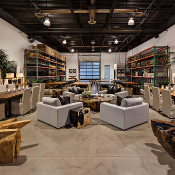 Organic Findings Showroom
