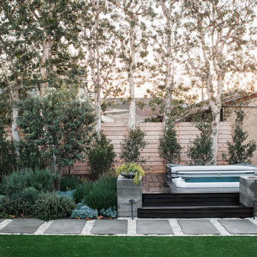 Contemporary Backyard Oasis