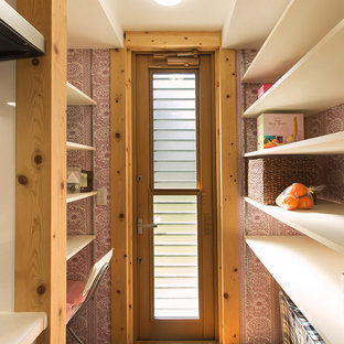 Farmhouse kitchen pantry designs - Kitchen pantry - cottage galley kitchen pantry idea in Other with open cabinets