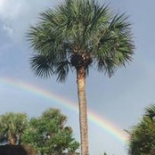 Suzanne Mcclung's photo