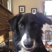 Maureen Prytula-Petrucelli's photo