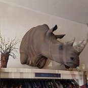 Hugh Dobbins's photo