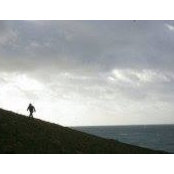 Michael Wong's photo