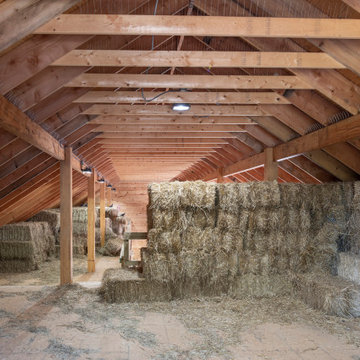 Equestrian Facility Brings Together Form and Function in Middleburg, Virginia