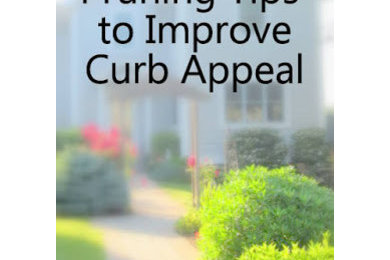 Tutorial: How to Prune Landscaping for Better Curb Appeal