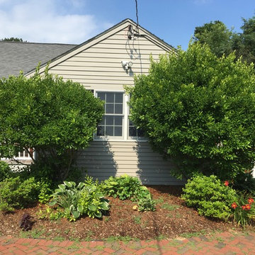 Foundation planting makeover